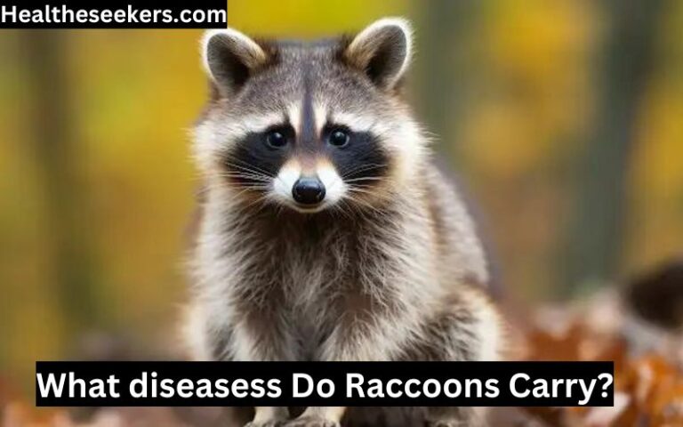 what diseases do raccoons carry